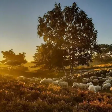 Alpstuga Me-time 